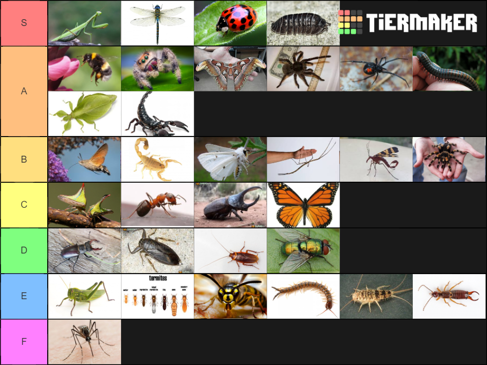 insects-and-arachnids-tier-list-community-rankings-tiermaker