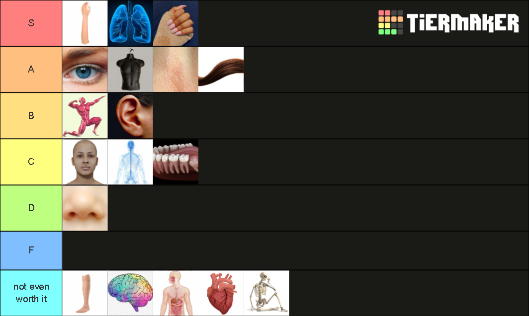 Most Useless Body Parts Tier List Community Rankings Tiermaker 1677