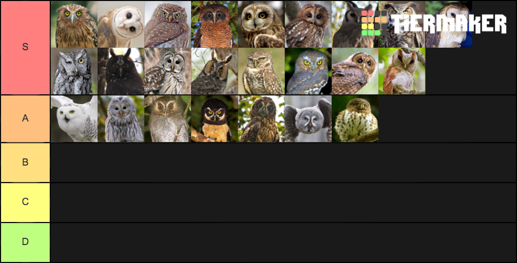 Owl Species Tier List Rankings) TierMaker
