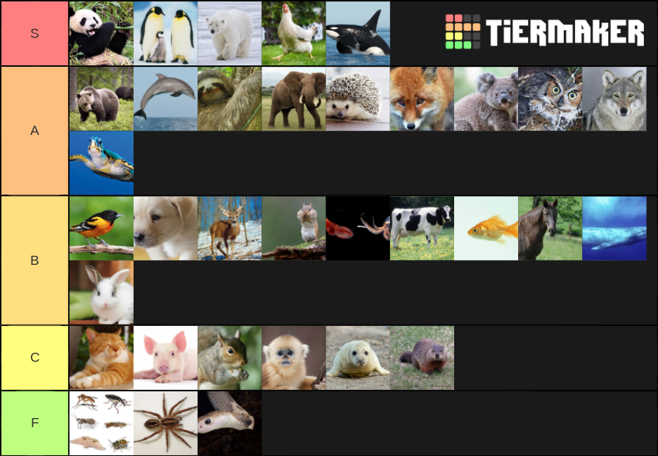 Ultimate Animal Tier List (Community Rankings) - TierMaker