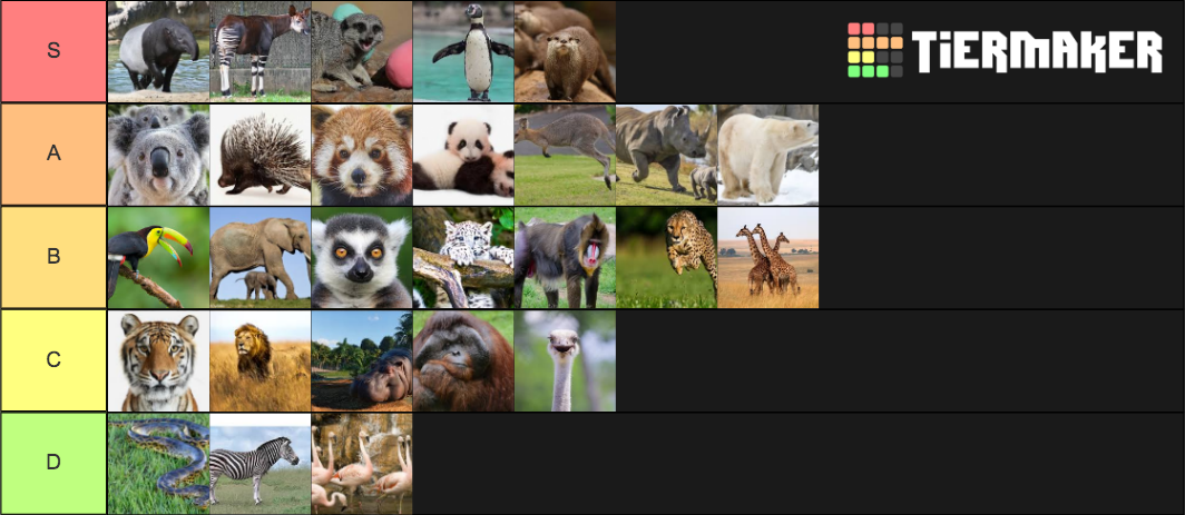 Zoo Animals Tier List (Community Rankings) - TierMaker