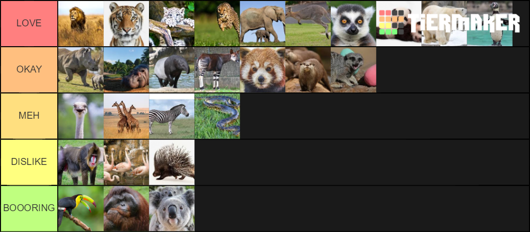 Zoo Animals Tier List (Community Rankings) - TierMaker