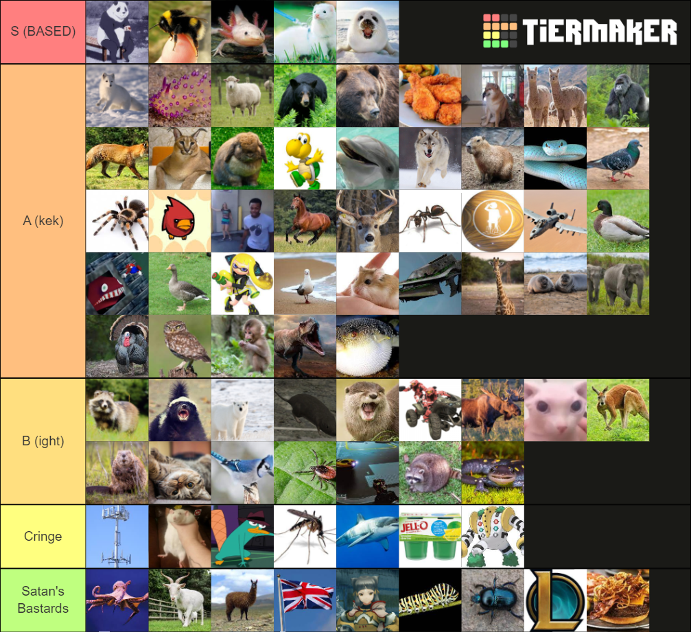 Animals Tier List (Community Rankings) - TierMaker