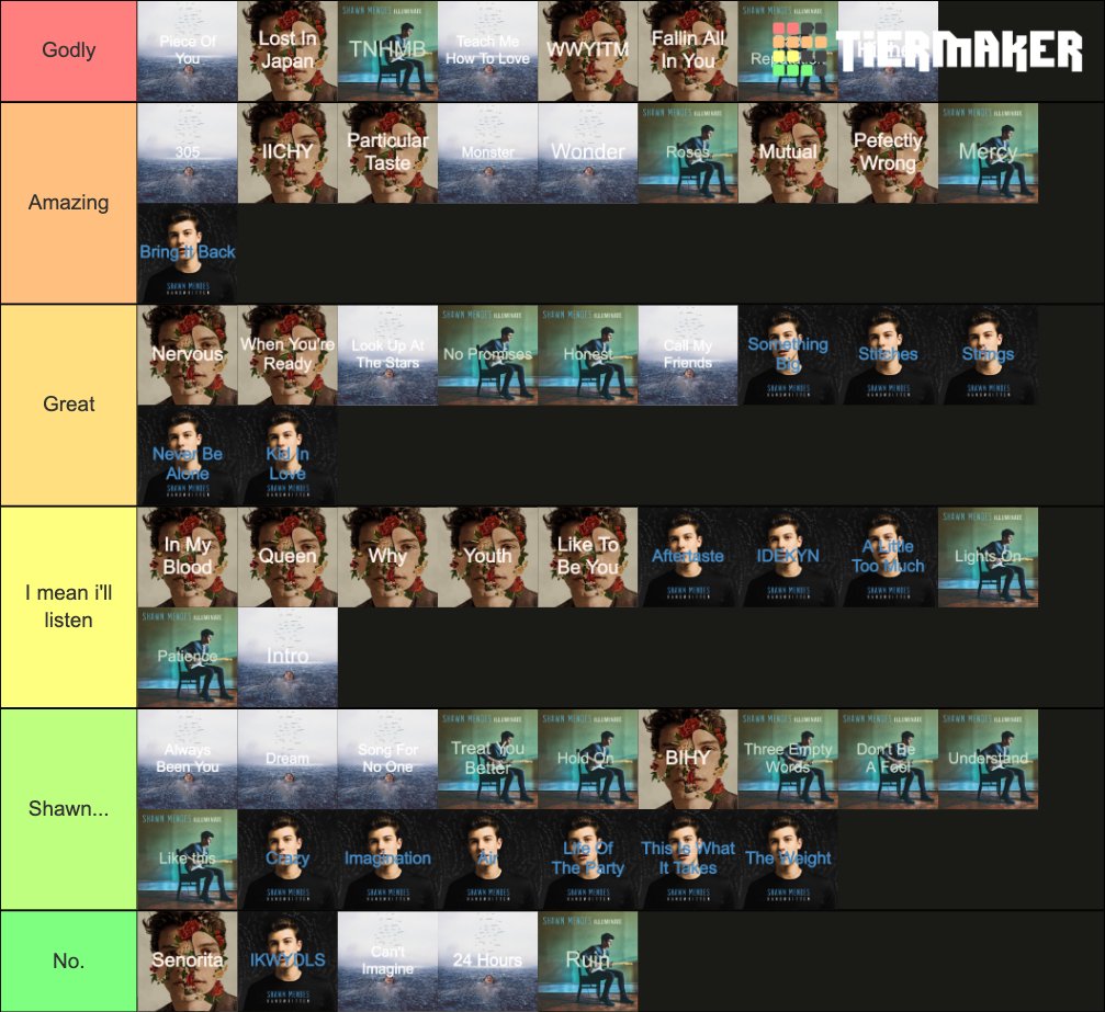 Shawn Mendes All songs from albums Tier List Rankings