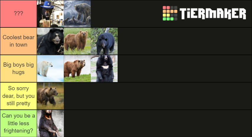 Best Bears Tier List Community Rankings Tiermaker