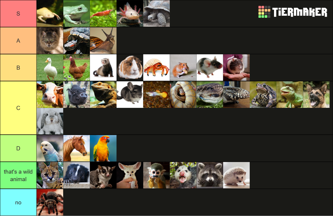 ULTIMATE PET TIER LIST Tier List (Community Rankings) - TierMaker