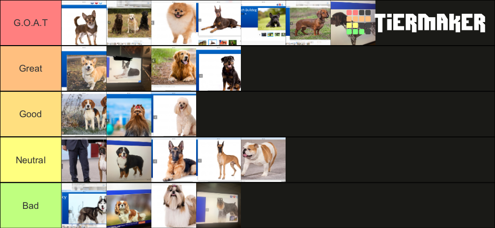 Top 23 dog breeds Tier List (Community Rankings) - TierMaker