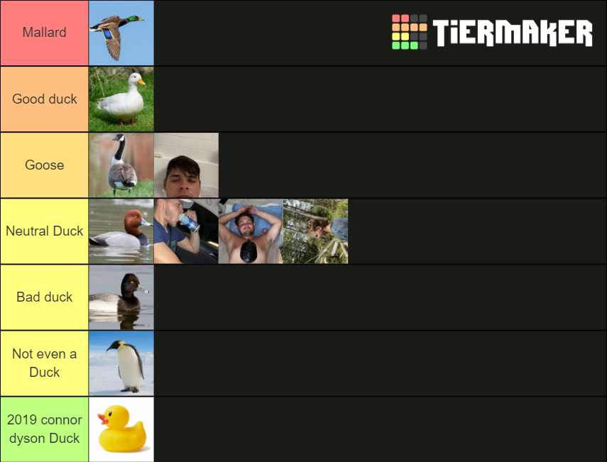 duck Tier List Rankings) TierMaker