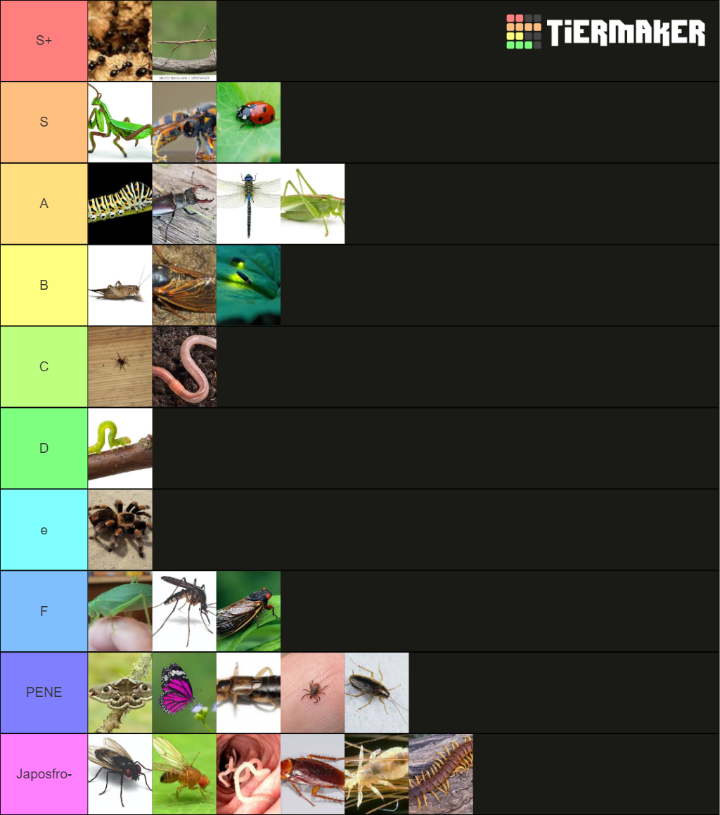 bugs-tier-list-community-rankings-tiermaker