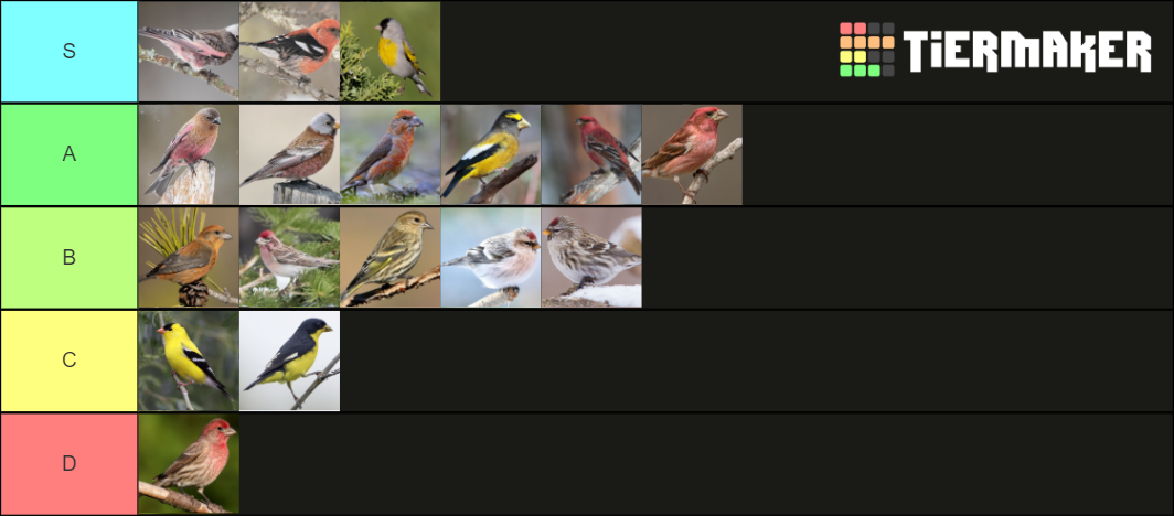 North American Finches Tier List (Community Rankings) - TierMaker