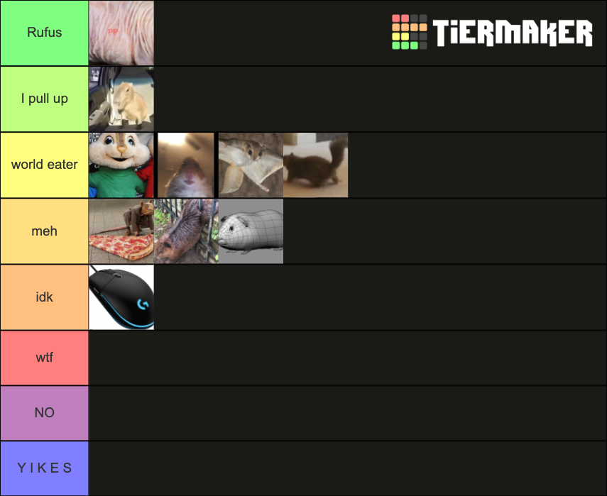 Rodent Tier List Rankings) TierMaker