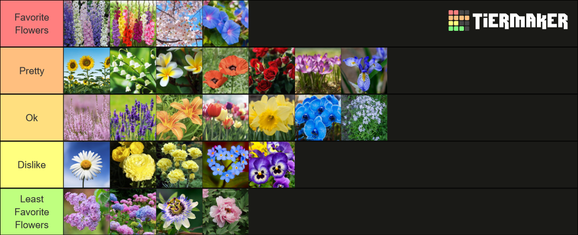 Types Of Flowers Tier List (Community Rankings) - TierMaker