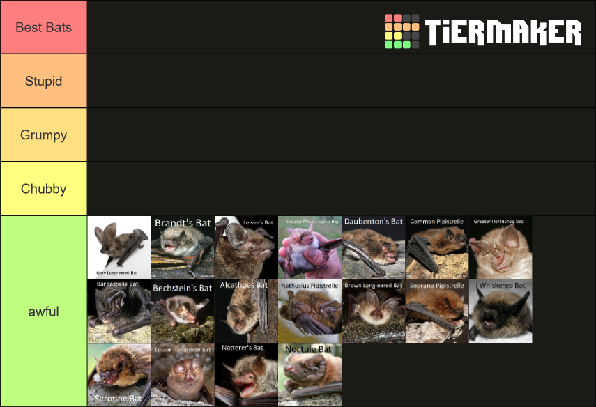 British Bats Tier List Rankings) TierMaker
