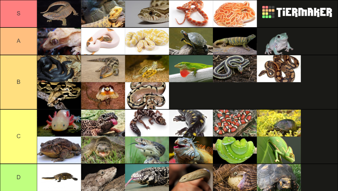 Pet Reptiles and Amphibians Tier List (Community Rankings) - TierMaker