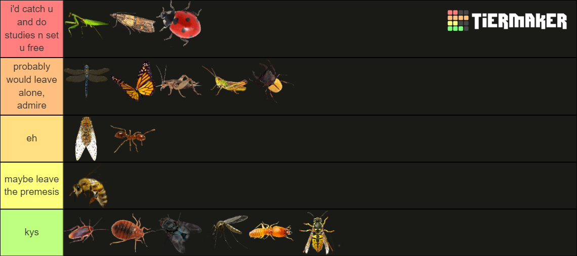 Insects Tier List (Community Rankings) - TierMaker