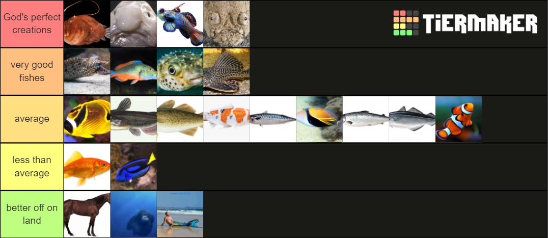 the-official-fish-tier-list-tier-list-community-rankings-tiermaker