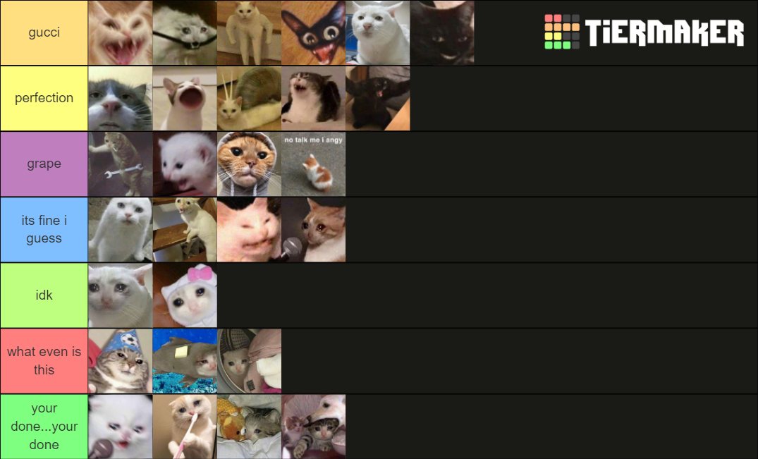 CAT MEMES Tier List (Community Rankings) - TierMaker
