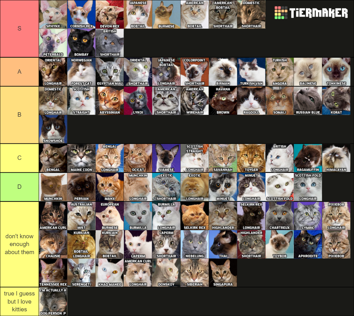 Cat Breed Tier List Rankings) TierMaker