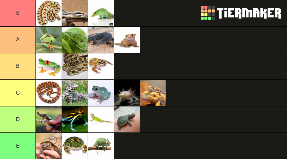 Pet Reptile and Amphibian Tier List (Community Rankings) - TierMaker