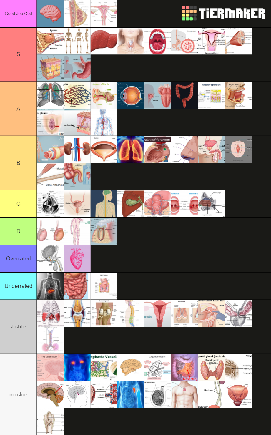 p organ tier list