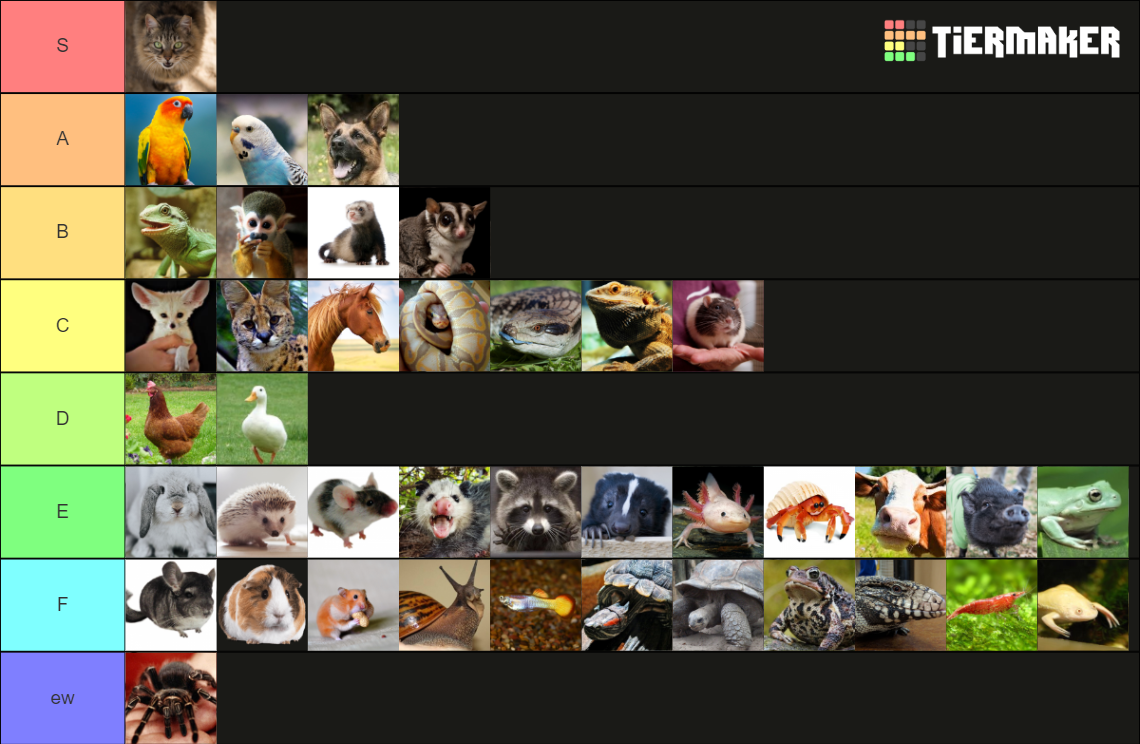 ULTIMATE PET TIER LIST Tier List (Community Rankings) - TierMaker