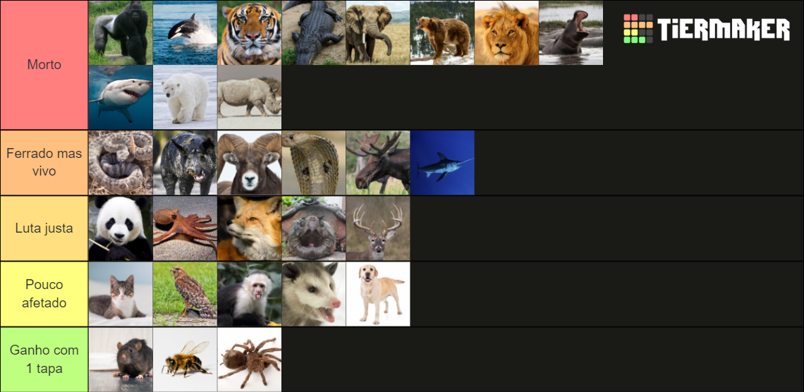 1v1 Animal Fight Tier List (Community Rankings) - TierMaker