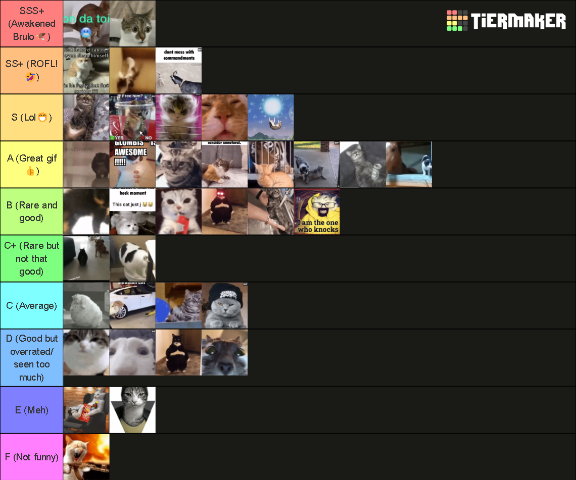 cat gif rank Tier List Rankings) TierMaker