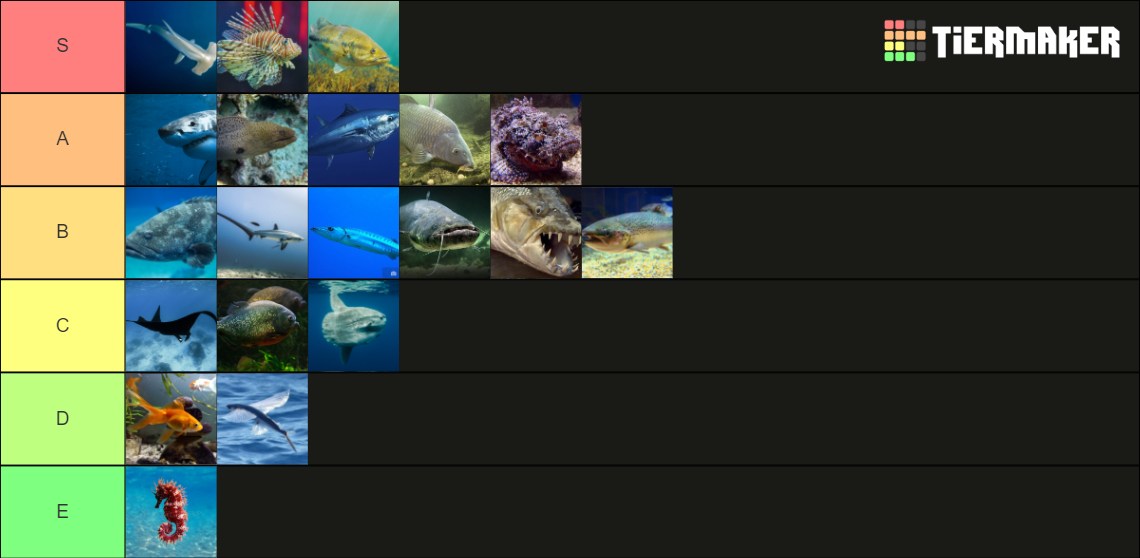 fish-tier-list-community-rankings-tiermaker