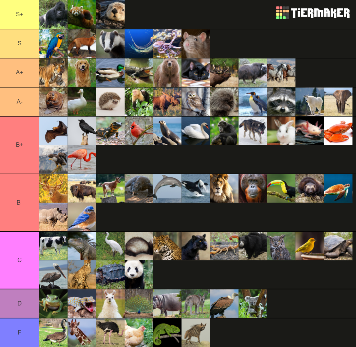 animal-large-tier-list-community-rankings-tiermaker