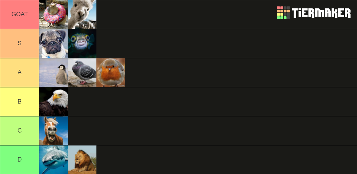 Best Animals Tier List (Community Rankings) - TierMaker