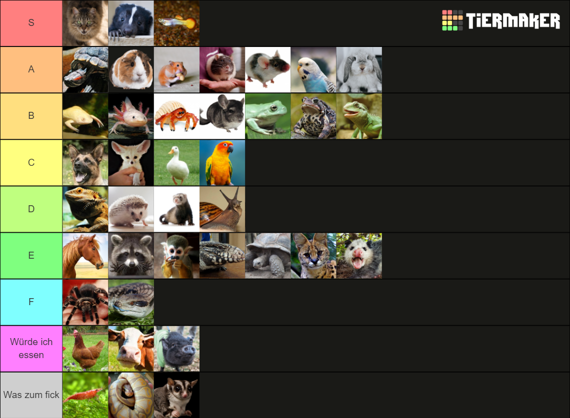 ULTIMATE PET TIER LIST Tier List (Community Rankings) - TierMaker