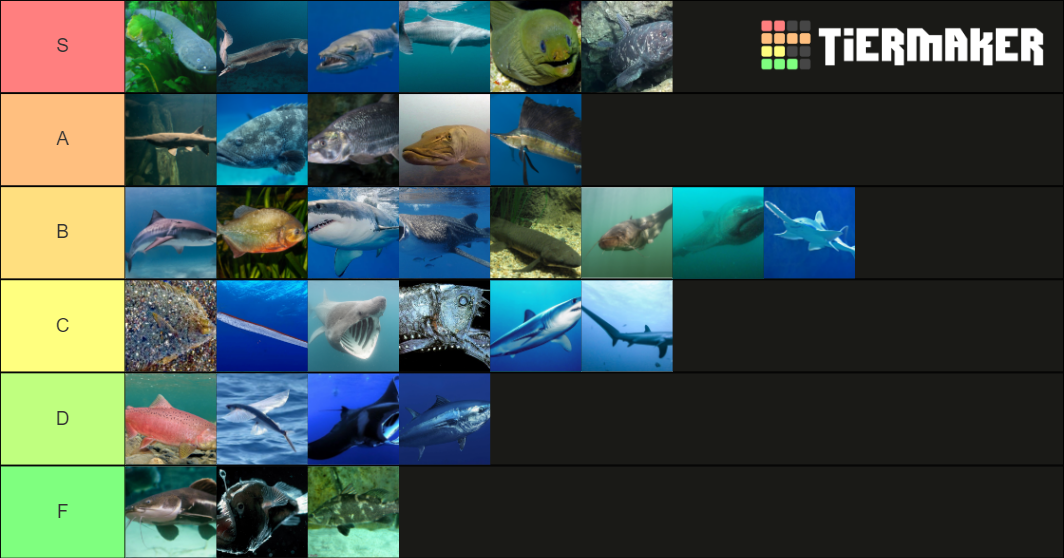 Fish Tierlist Tier List (Community Rankings) - TierMaker