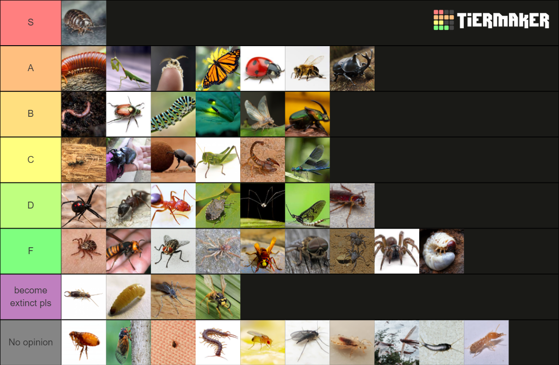 Bugs Tier List (Community Rankings) - TierMaker