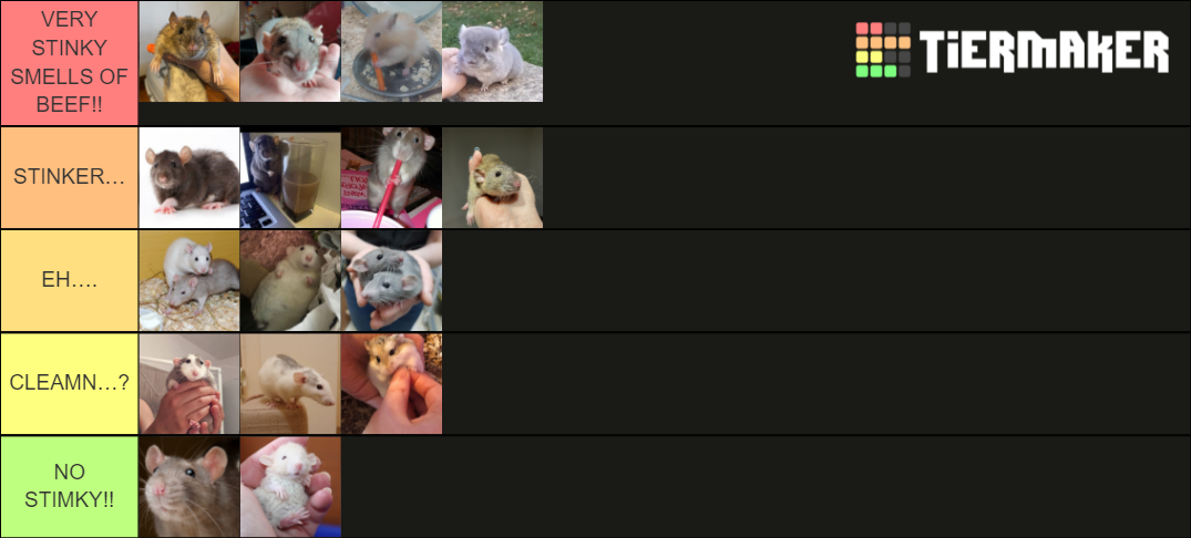 Lab Rats Tier List how stinky does this rat look Tier List (Community Rankings) - TierMaker