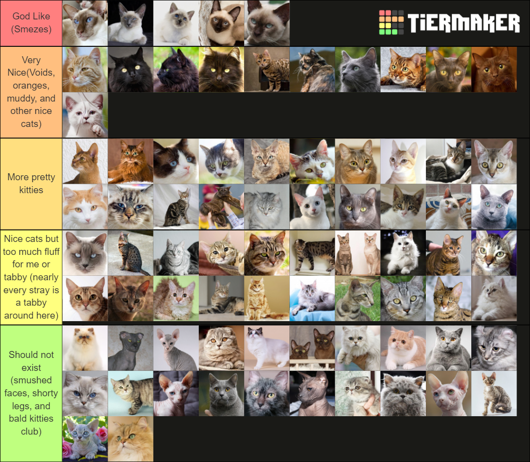 Cat breeds Tier List Rankings) TierMaker