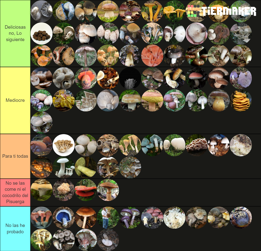 Top 84 edible mushrooms Tier List Rankings) TierMaker