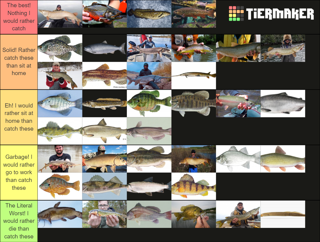 Fishing in MN Tier List Rankings) TierMaker