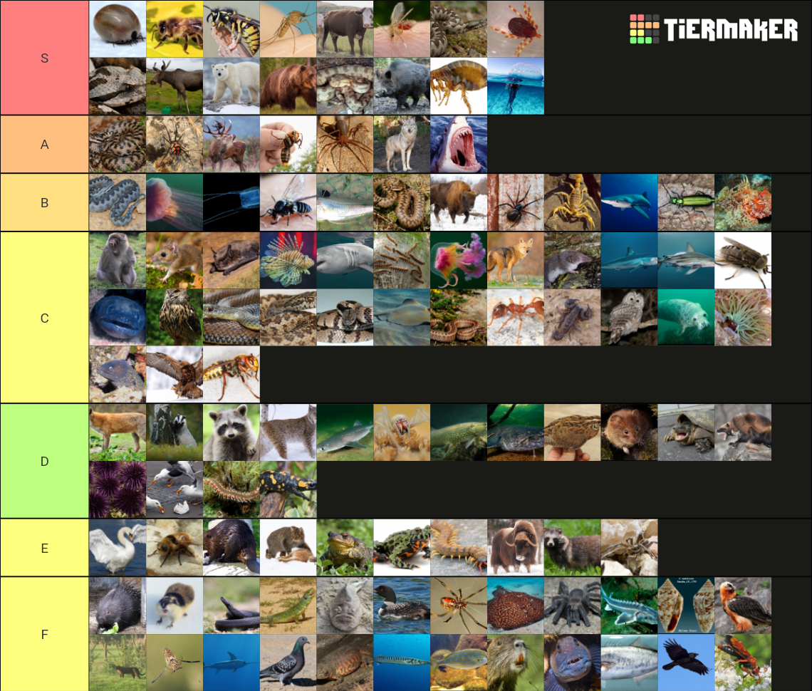 72 Dangerous Animals-Europe Tier List (Community Rankings) - TierMaker