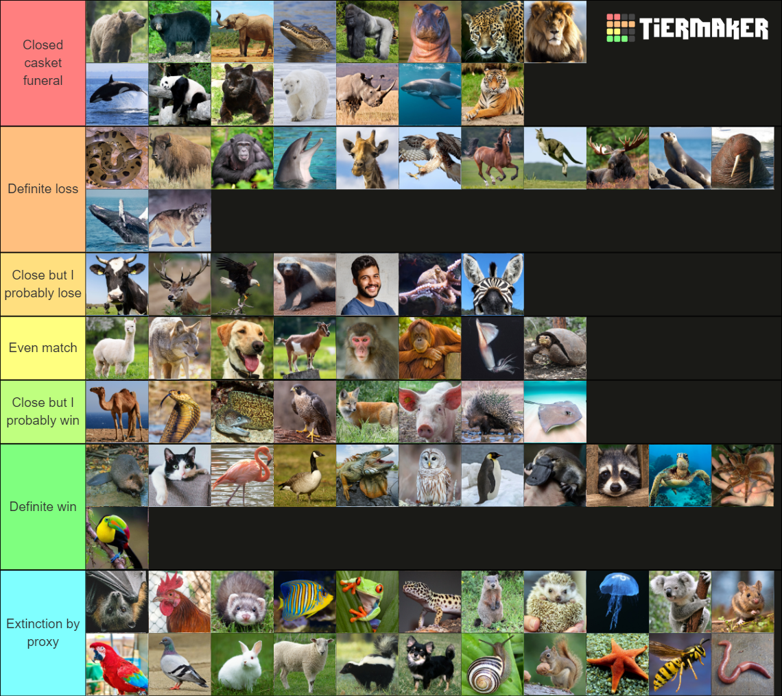 Could you beat these animals in a fight? Tier List Rankings