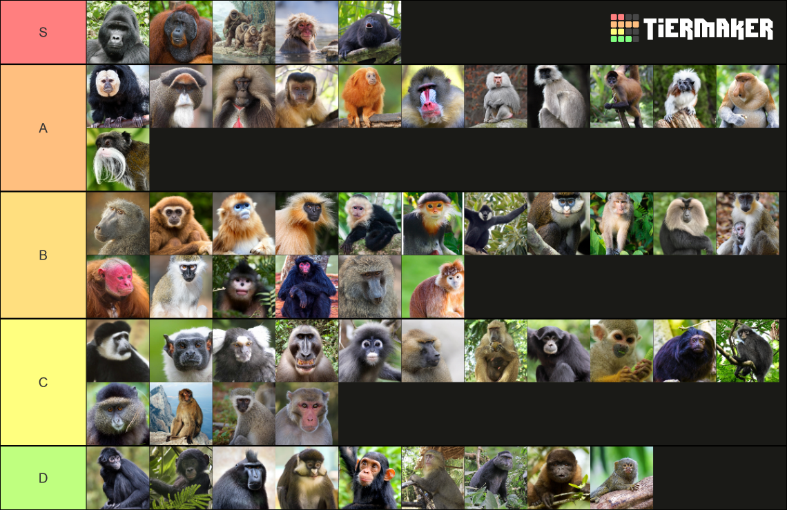 Monkeys/Apes Tier List Rankings) TierMaker