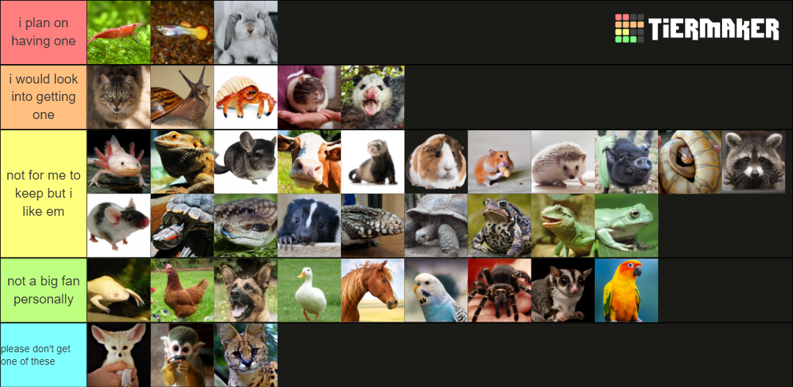 ULTIMATE PET TIER LIST Tier List (Community Rankings) - TierMaker