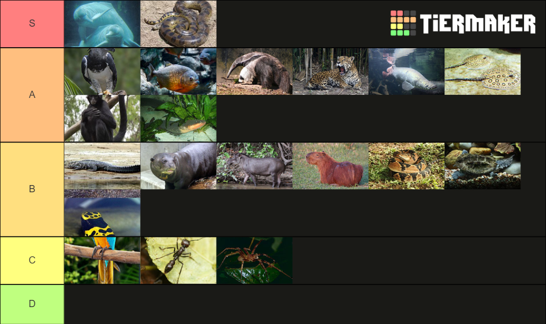Amazon Wildlife Tier List Rankings) TierMaker