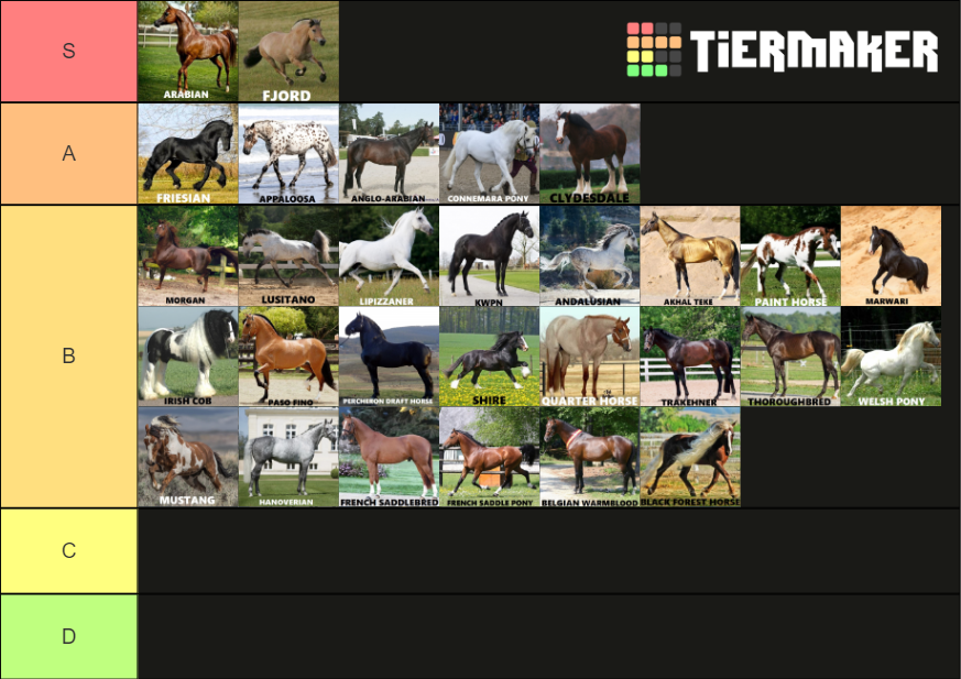 Horse breeds Tier List Rankings) TierMaker