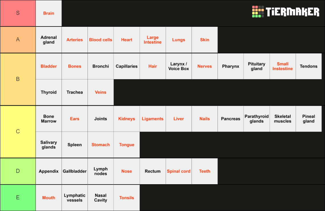 Human Body Parts Tier List Rankings) TierMaker