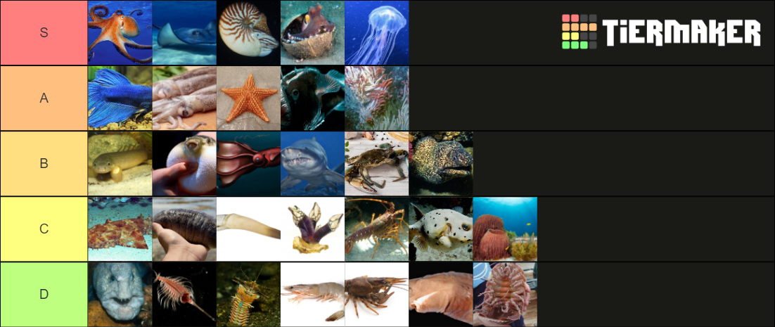 Sea Animals Tier List (Community Rankings) - TierMaker