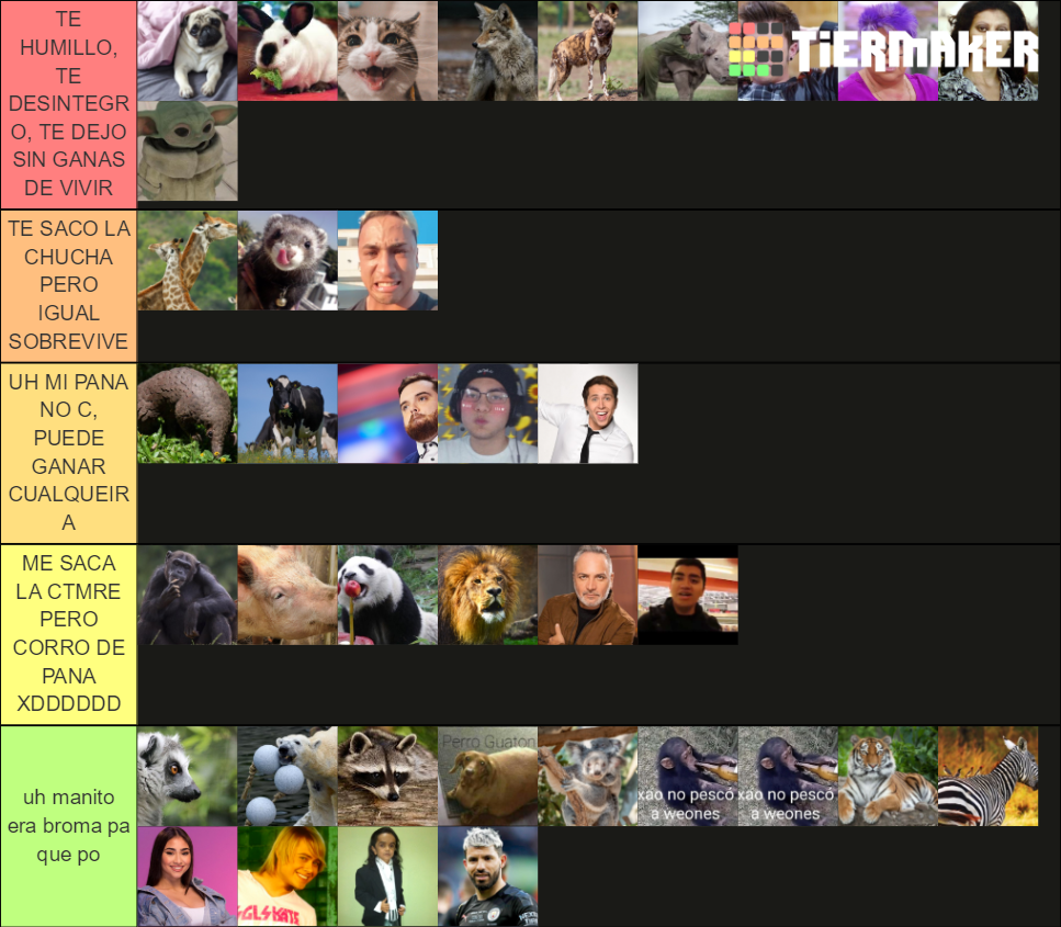 ANIMALES A LOS QUE LES GANARIA EN UNA PELEa Tier List (Community ...