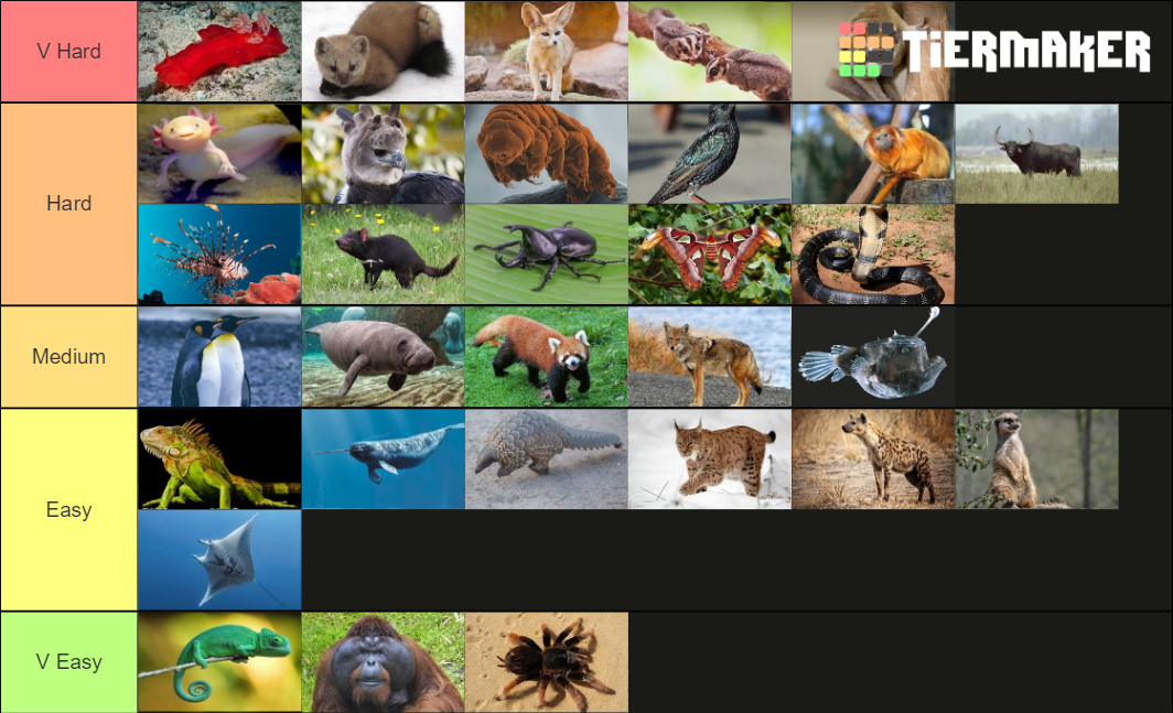 Animal Recognition 2 Tier List (Community Rankings) - TierMaker