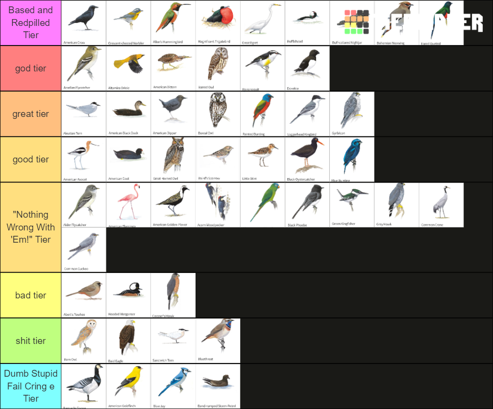 Birds Tier List Community Rankings Tiermaker