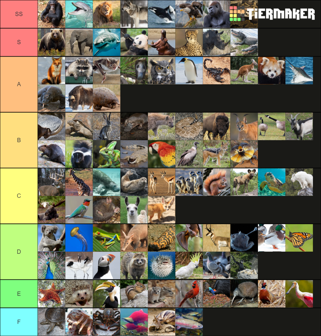 Animal Tier List Rankings) TierMaker