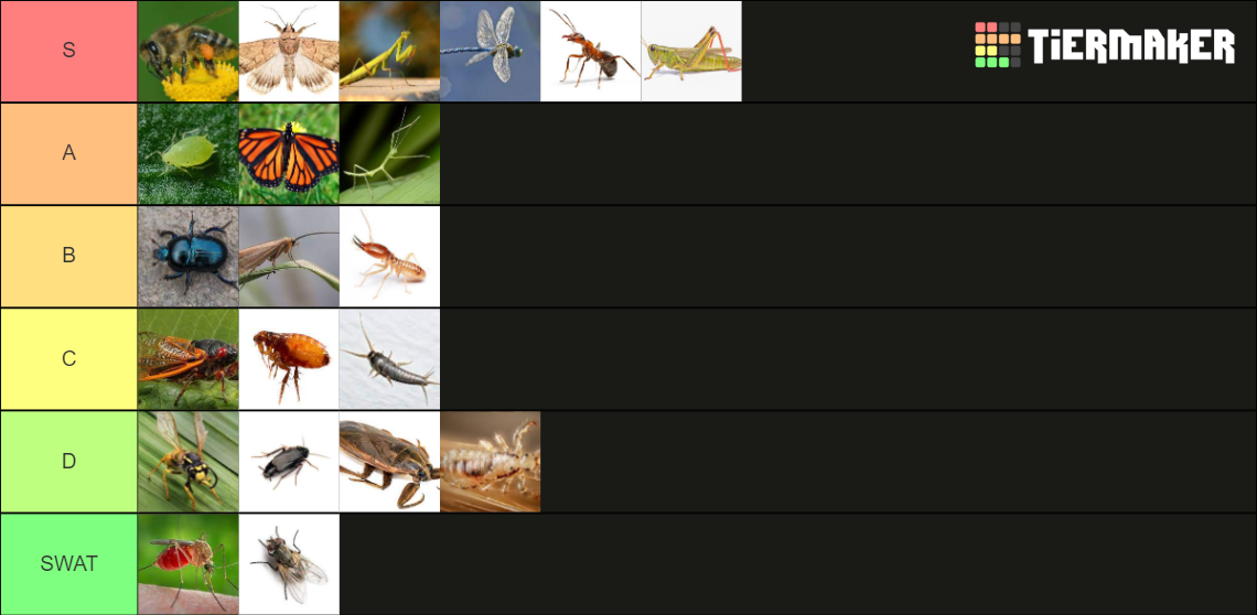 Insect Tierlist Tier List (Community Rankings) - TierMaker